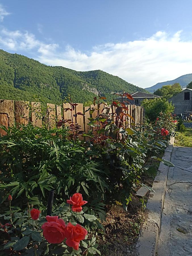 Green Garden إيجيفان المظهر الخارجي الصورة