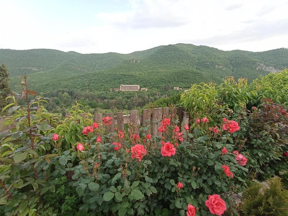 Green Garden إيجيفان المظهر الخارجي الصورة